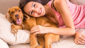 raças de cães ideais para apartamento